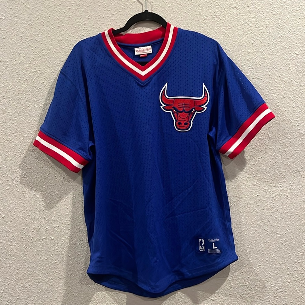 Bulls Mesh Jersey